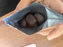 三只松鼠板栗仁40g*11袋无壳即食软糯香甜优质甘栗仁休闲零食坚果炒货 实拍图