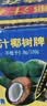 椰树牌 正宗椰子汁  330ml*24盒整箱装  植物蛋白饮料 实拍图