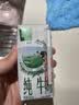 伊利【新鲜日期】金典纯牛奶 200ml*12 3.6g乳蛋白礼盒装 实拍图