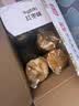 嘉士利饼干早餐饼干红枣味1000g/盒送礼提手零食送礼礼盒代餐食品 实拍图