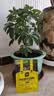史丹利快速生根粉植物通用树木移栽强力扦插专用100g 实拍图