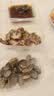 【下酒菜】七鲜 捞汁花蛤230g 实拍图