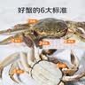 【活蟹】蟹叁钳庄 全母大闸蟹 去绳足重3.5-3.8两 8只鲜活生鲜现货螃蟹礼盒 实拍图