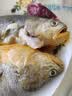 三都港 冷冻黄花鱼700g/2条装 大黄鱼深海鱼 生鲜鱼类 海鲜水产中秋礼品 实拍图