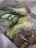 七鲜24小时油菜苗250g(长度≤17cm) 实拍图
