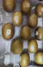 佳沛（zespri）新西兰金奇异果18粒优选果103-124g猕猴桃水果礼盒 实拍图