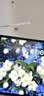 HUAWEI MatePad Air 12英寸（第三代）柔光版 华为平板电脑 OLED屏 创作办公学习12GB+256GB 暖云白 实拍图