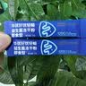 华优好优【肠道活力差】即食益生菌益生元改善胃肠BC99东方菌适合国人体质 【一个周期】-送玫瑰果疏饮3盒 60g*3盒 实拍图