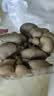 【火锅季】七鲜24小时富硒头茬平菇 300g 实拍图