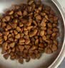 皇家猫粮 斯芬克斯成猫粮 SX33 通用粮 12月以上 2KG 实拍图