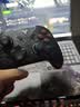 飞智【新品上市】冰原狼4影之刃零联名款无线游戏手柄 switch2/手机/电脑PC多平台类XBOX 实拍图