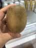 佳沛（zespri）绿奇异果特大果22-25个原箱装单果约135-176g 猕猴桃 水果 实拍图