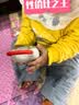 火火兔早教机0-3岁熏听故事机婴幼儿宝宝国学机启蒙玩具男女孩生日礼物 实拍图