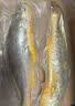 1号会员店（One's Member） 冷冻野化三去黄花鱼 宁德大黄鱼800g/2条 生鲜鱼类 海鲜 中秋 实拍图