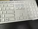 戴尔（DELL）KB216键盘有线商务办公键盘笔记本电脑台式机外接配件全尺寸静音键盘USB即插即用防泼溅（白色） 实拍图