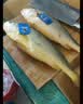 三都港 冷冻三去黄花鱼2斤/3条装 大黄鱼深海鱼 生鲜鱼类 海鲜 中秋礼品 实拍图