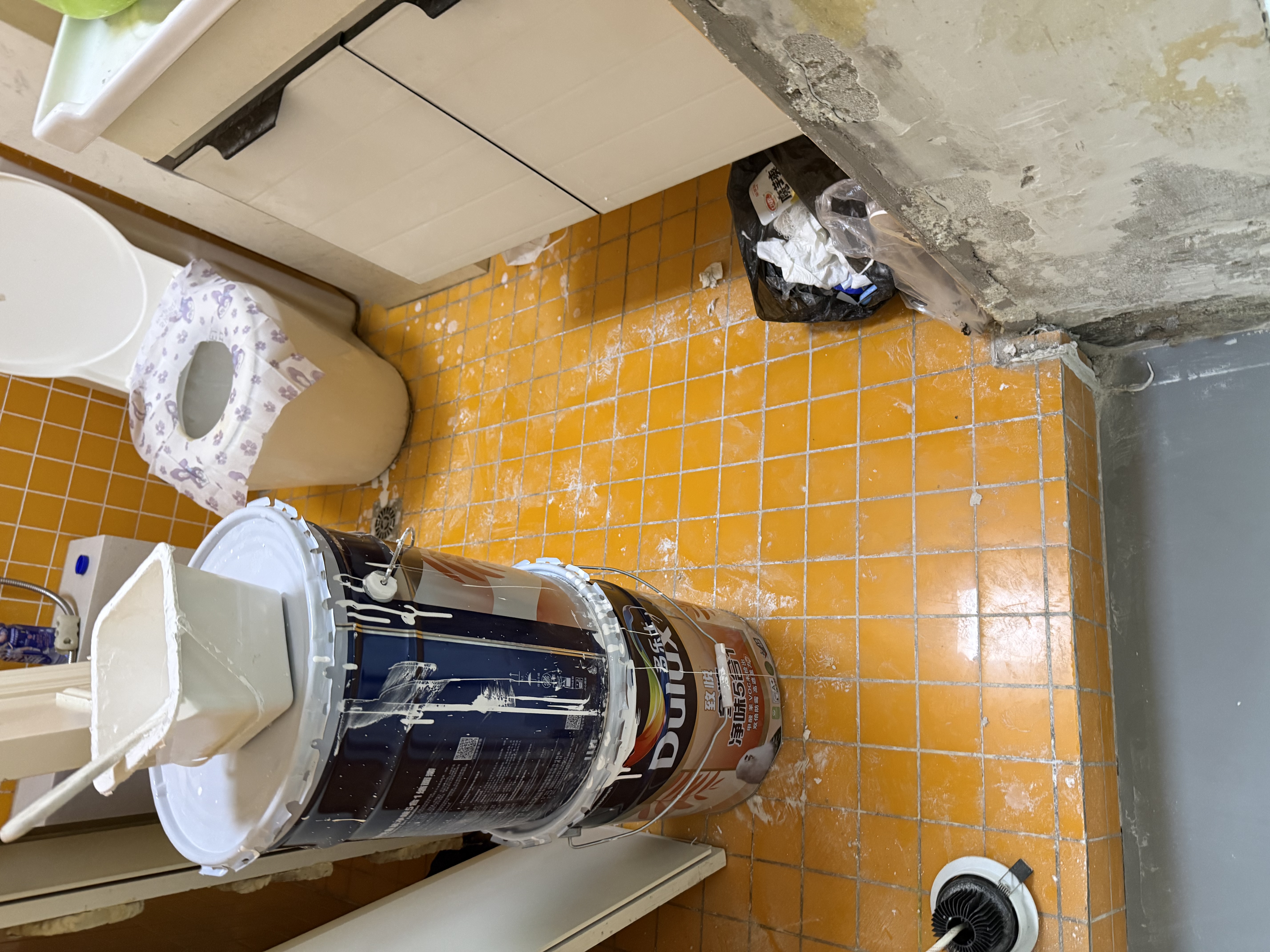 多乐士（Dulux）乳胶漆致悦净味金装五合一内墙防霉抗菌墙面漆A750白色18L 实拍图