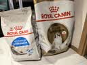 皇家猫粮 成猫猫粮 室内长毛猫 ILH35 通用粮 1-7岁 4.5KG 实拍图