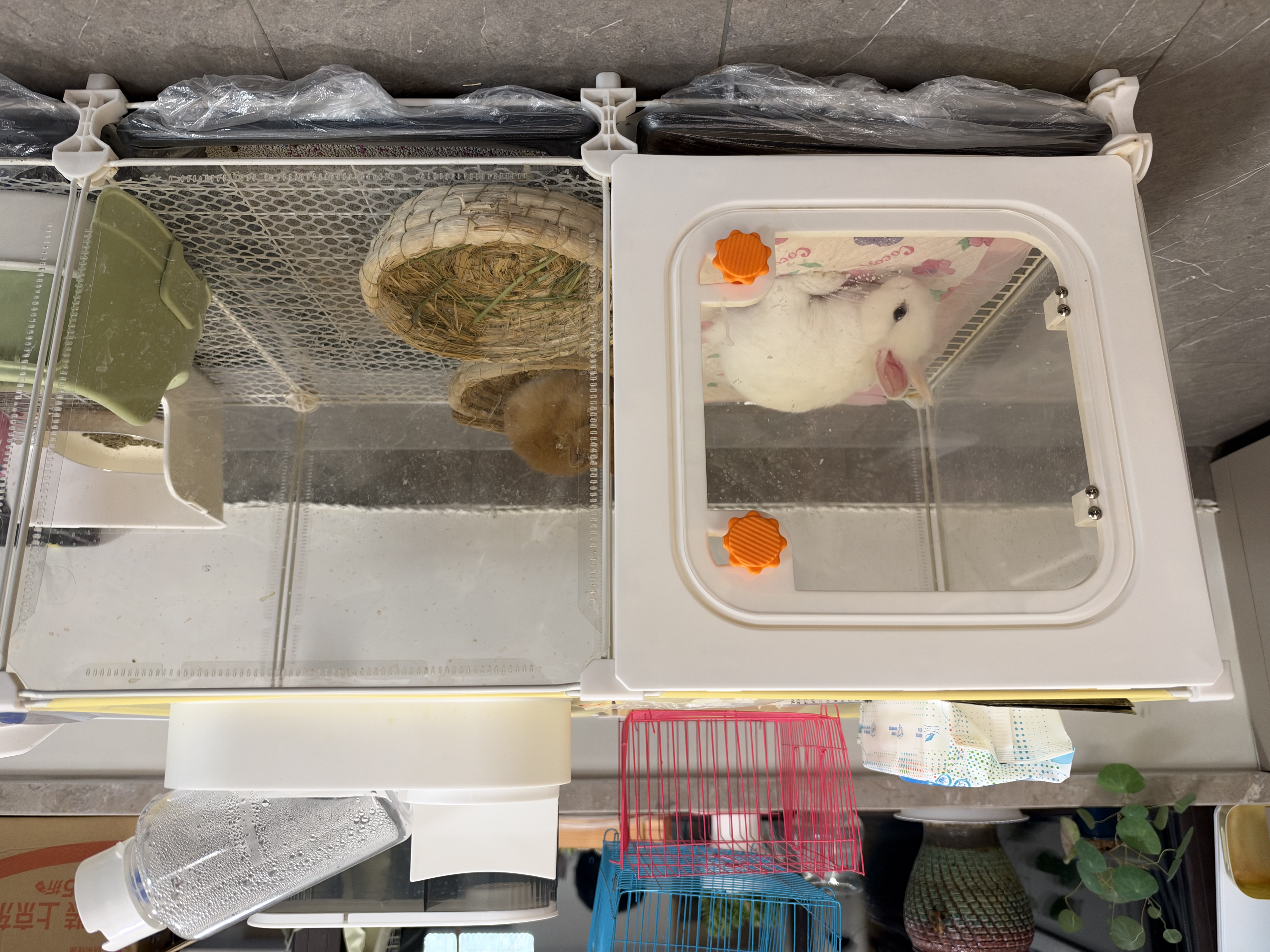 蔻丝全景兔笼子家用大空间带厕所荷兰猪豚鼠侏儒兔少越狱京东自营 实拍图