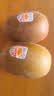 佳沛（zespri）新西兰金奇异果12粒特大果124-146g猕猴桃水果礼盒 实拍图