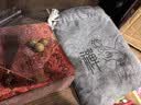 吉千年 阿根廷绿檀手串 复古绿檀木佛珠手串 绿檀手串檀木文玩 生日礼物 【南红玛瑙】沉水老绿檀12mm*17颗 实拍图