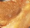 画宝刚道口烧鸡500克五香卤鸡扒鸡熟食腊味 河南老字号特产美食礼品团购 实拍图