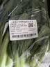 上海青约500g(油菜) 实拍图