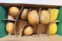 佳沛（zespri）新西兰金奇异果10个装单果重103-114g猕猴桃水果礼盒 实拍图