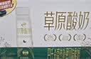伊利草原酸奶巴氏杀菌原味酸奶230g*10瓶/箱  礼盒装 实拍图
