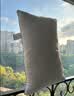 洁丽雅（Grace）A类枕头枕芯颈椎枕成人睡觉专用酒店枕头48*72cm 实拍图