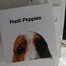 暇步士（Hush Puppies）皮带女头层牛皮女士皮带ins风学生装饰百搭心机腰带生日礼物 实拍图