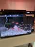 森森鱼缸增氧泵水族箱氧气泵LQE-50家用小型充氧泵3W单孔+全套配件 实拍图