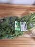 【火锅季】七鲜24小时富硒香芹苗 250g(长度≤40cm) 实拍图