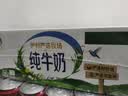 伊利【新鲜日期】纯牛奶苗条装 200ml*24盒 3.2g优质乳蛋白 实拍图
