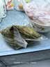 五芳斋粽子 中华老字号嘉兴特产粽子早餐零食 蛋黄猪肉粽140克*2只 实拍图