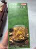 京东京造西洋参菊花决明子茶150g(10g*15)枸杞金银花去火清热养生护熬夜 实拍图