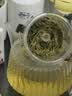 乐品乐茶高山绿茶浓香耐泡高性价比口粮茶特级明前春茶 500g自饮2026新茶 实拍图