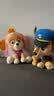 汪汪队立大功（PAW PATROL）毛绒玩具陪睡玩偶经典款天天中号坐姿公仔男女孩儿童生日礼物 实拍图