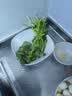 【火锅季】带根香菜100g 实拍图