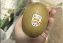佳沛（zespri）新西兰金奇异果8粒特大果124-146g猕猴桃水果礼盒 实拍图