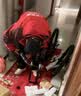 喜德盛（xds）儿童自行车小王子变速车7速青少年学生通勤运动单车黑银24英寸 实拍图