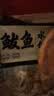 船歌鱼水饺鲅鱼水饺460g(24只) 健康营养早餐夜宵速食生鲜速冻饺子 实拍图