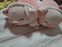 名创优品（MINISO）小猪B-BO锦鲤好运款玩偶毛绒公仔床上抱枕靠枕娃娃生日礼物送女生 实拍图