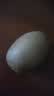 佳沛（zespri）新西兰金奇异果12粒特大果124-146g猕猴桃水果礼盒 实拍图