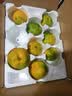 京觅浙江临海涌泉蜜桔 4.5-5斤单果60mm+ 青皮无籽蜜桔 橘子 源头直发 实拍图