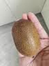 京鲜生陕西周至徐香绿心猕猴桃 24粒单果90-110g 当季新鲜水果 源头直发 实拍图