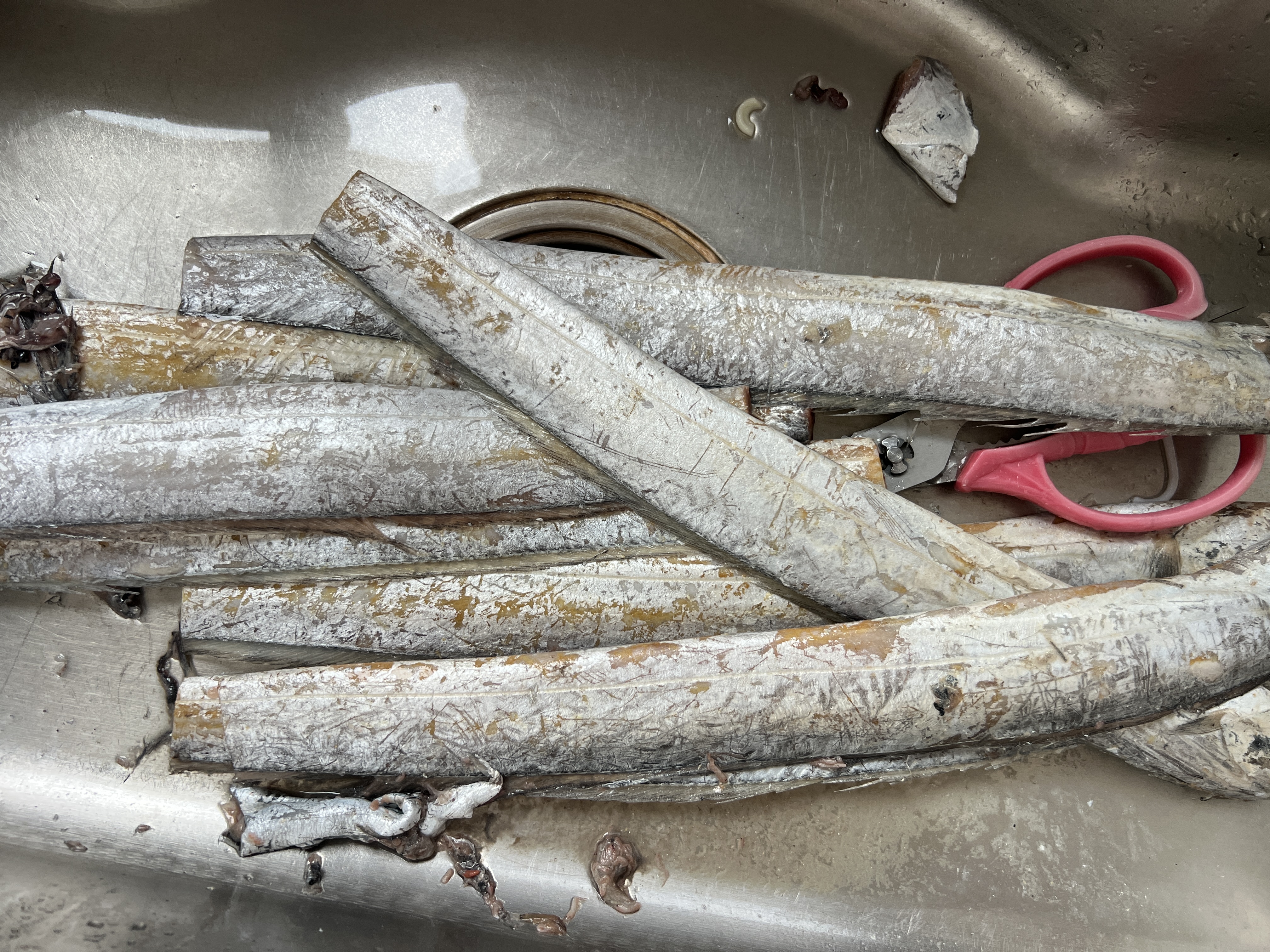 纯色本味冷冻舟山带鱼1300g 刀鱼 烧烤 (整条去嘴去尾）纯鱼肉开海季 实拍图