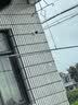 鸿蒙智选海雀室外摄像头800万监控家用360度无死角带夜视可升级4G终身免流无需wifi农村庭院户外门口5Pro4K 实拍图