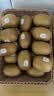 佳沛（zespri）新西兰金奇异果22粒巨大原箱146-175g猕猴桃水果礼盒 实拍图