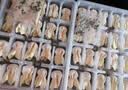 七鲜 薄皮猪肉小馄饨331g(内含40个) 实拍图